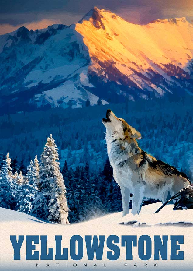 Puzzle Alipson Lobo de Yellowstone de 500 Peças