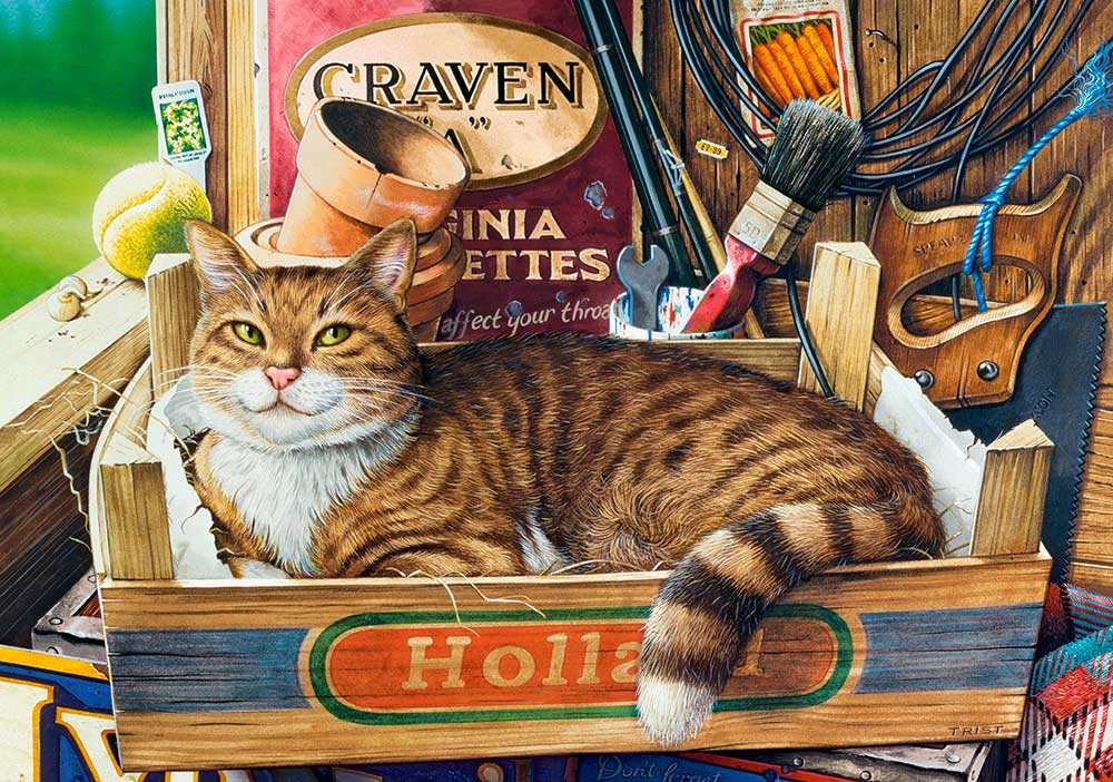 Puzzle Castorland Fothergill, O Gato na Caixa 500 Peças