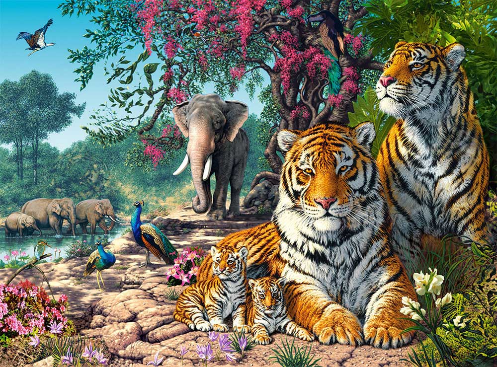 Puzzle Castorland Santuario de Tigres de 3.000 peças