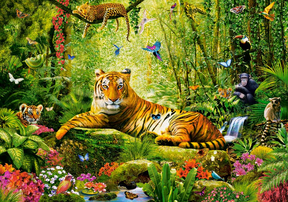 Puzzle Castorland Sua Majestade, O Tigre de 500 peças
