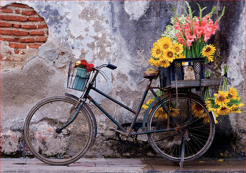 Puzzle Educa bicicleta com flores 500 peças