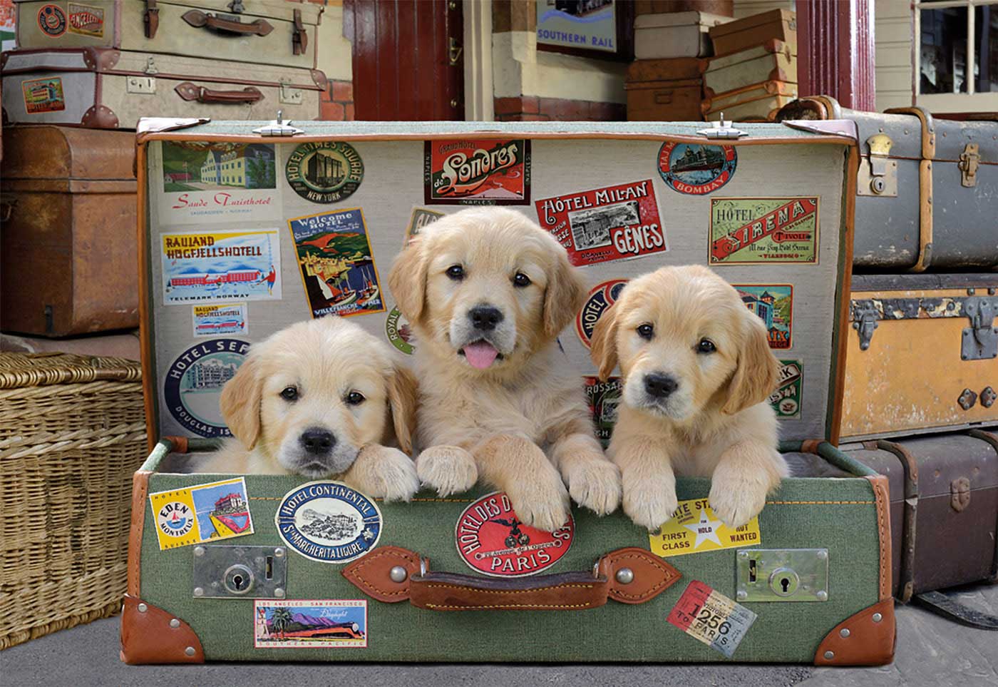 Puzzle educa cachorrinhos na bagagem 500 peças