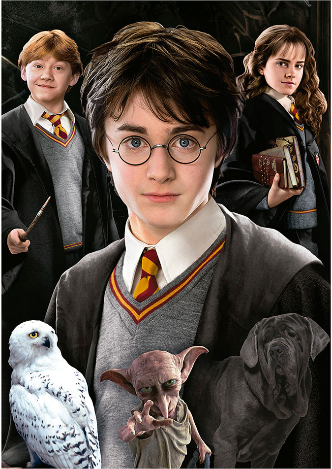Puzzle Educa Harry Potter (Peças em Miniatura) de 1000 Peças