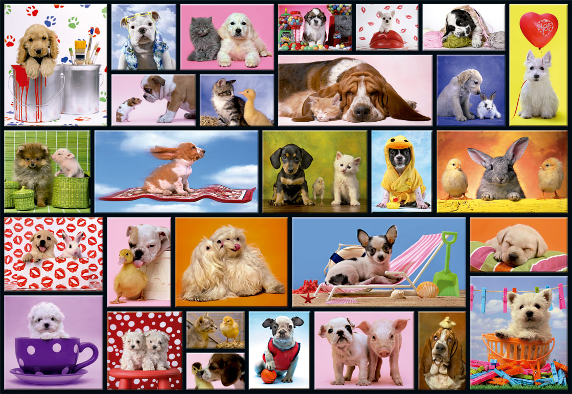 Puzzle Momentos Compartilhados Educa 1000 Peças