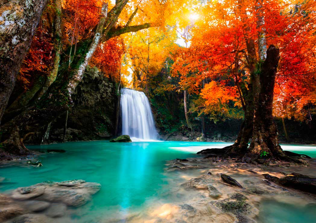 Puzzle Grafika Cachoeira da Floresta Profunda de 1500 Pzs