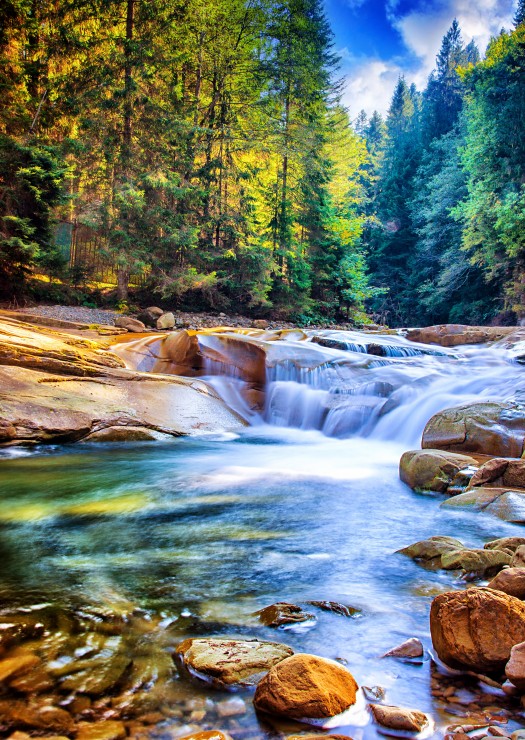 Puzzle Grafika Bela Cachoeira na Floresta 2000 peças