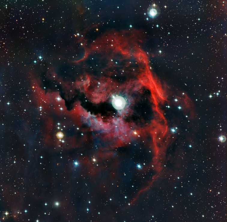 Puzzle Grafika Nebulosa Gaivota 1000 Peças