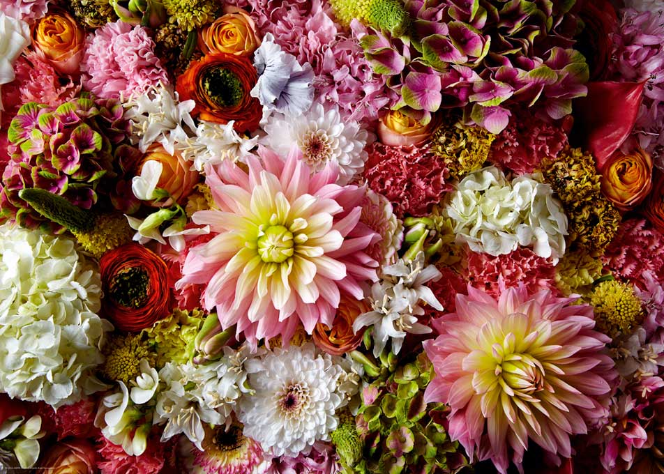 Puzzle Heye Composição Floral II de 1000 Peças