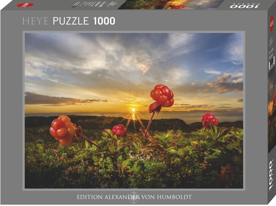 Puzzle Heye Cloudberries de 1000 Peças