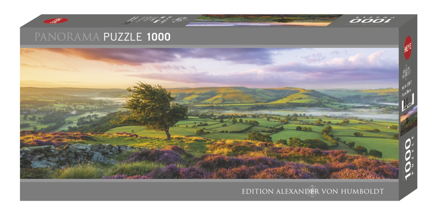 Puzzle Heye Panorâmico Flores Roxas de 1000 Peças