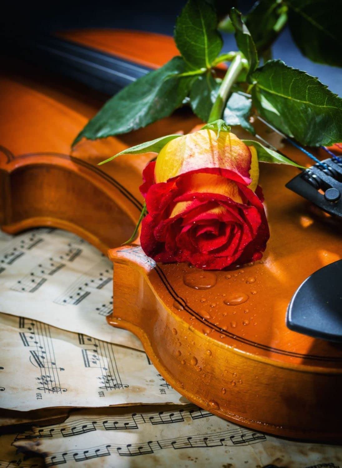 Puzzle Nova Música, Amor e Tristeza de 1000 Peças