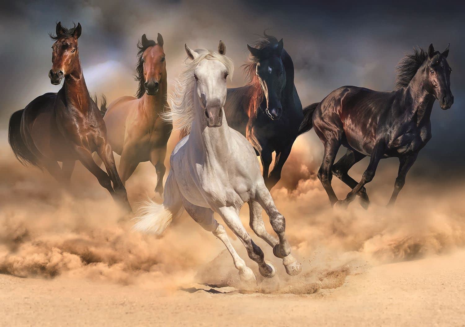 Puzzle Nova A Corrida de Cavalos 2000 Peças