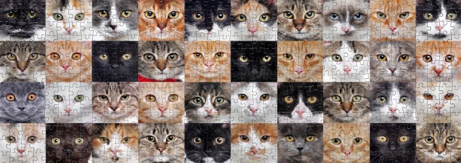 Puzzle Nova Panorama Colagem de Gatos de 1000 Pzs