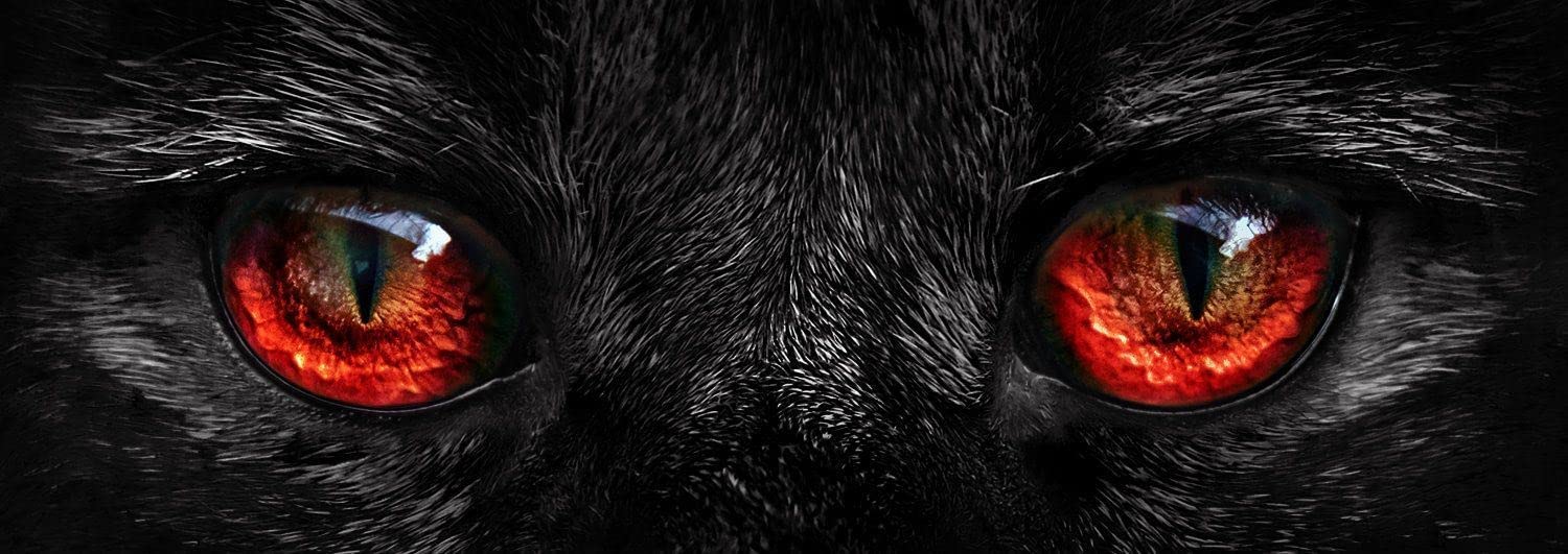 Puzzle Nova Panorama Cat's Eyes 1000 peças