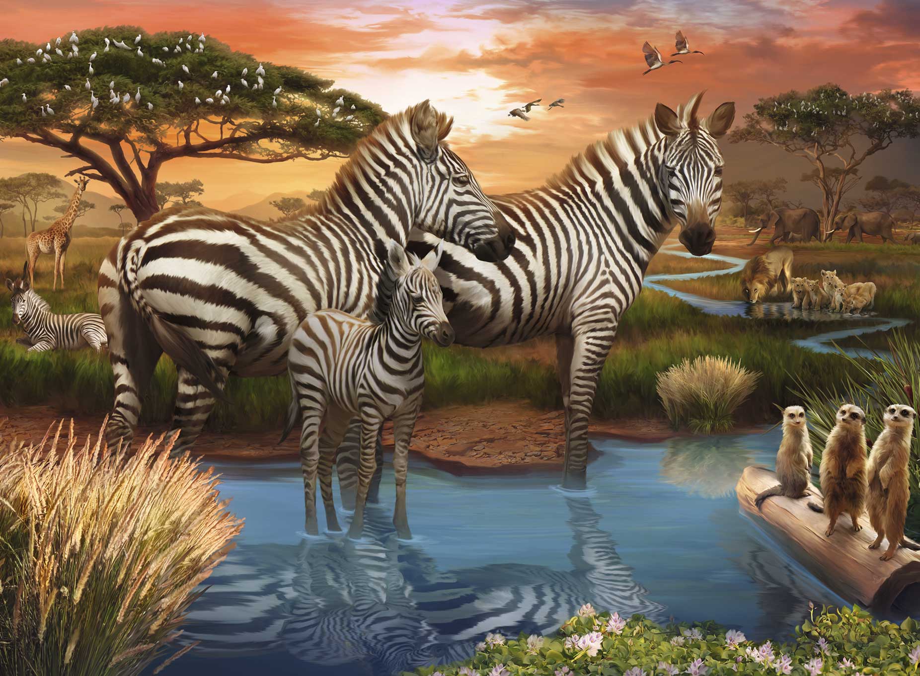 Puzzle Ravensburger Zebras no Bebedouro de 500 Peças
