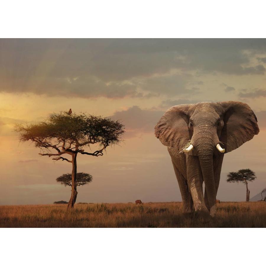 Puzzle Ravensburger Masai Mara Elephant 1000 peças