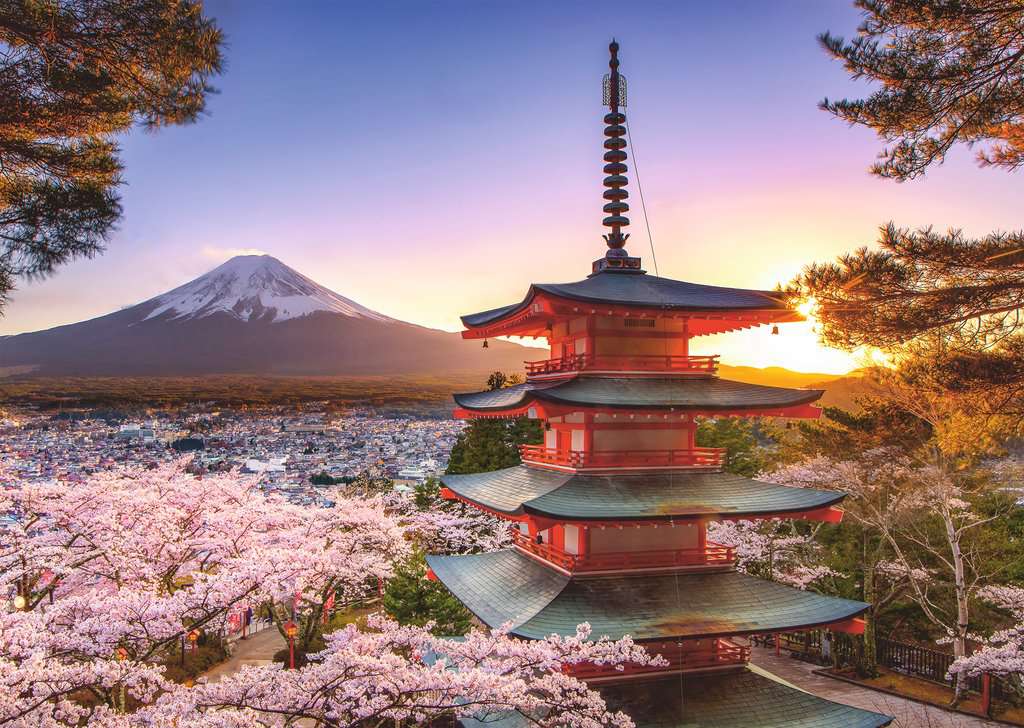 Puzzle Ravensburger Flores de Cerejeira do Monte Fuji de 1000 Pe
