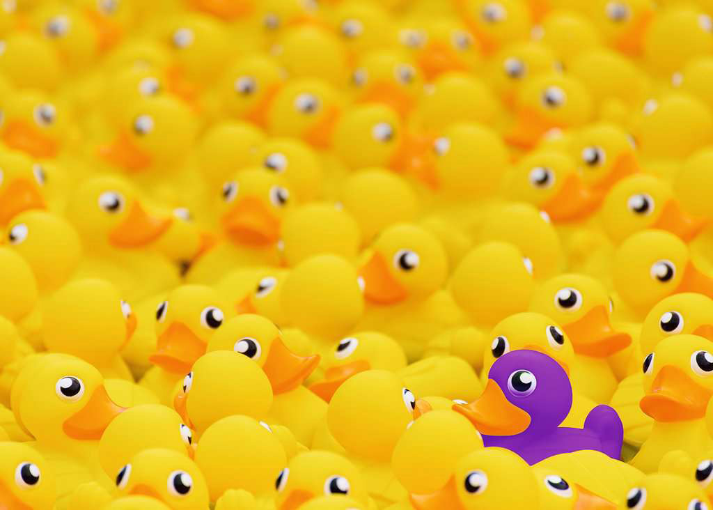 Puzzle Ravensburger Patos de borracha de 1000 peças