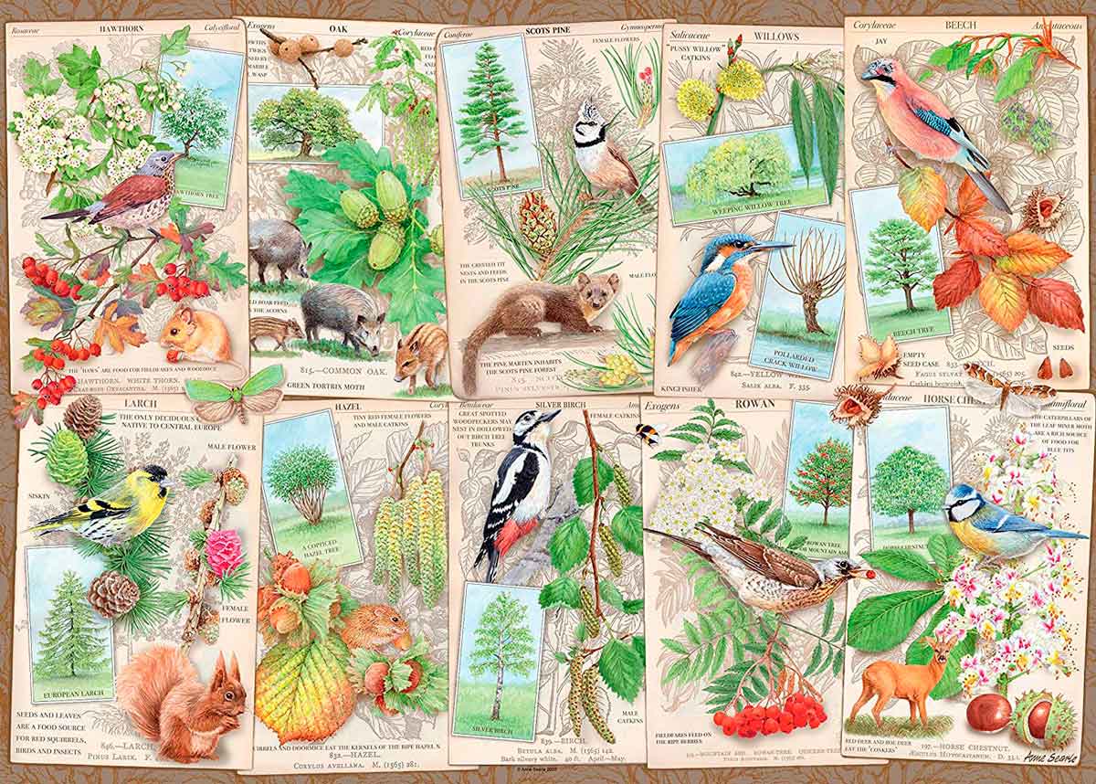 Puzzle Ravensburger Árvores Maravilhosas 1000 Peças