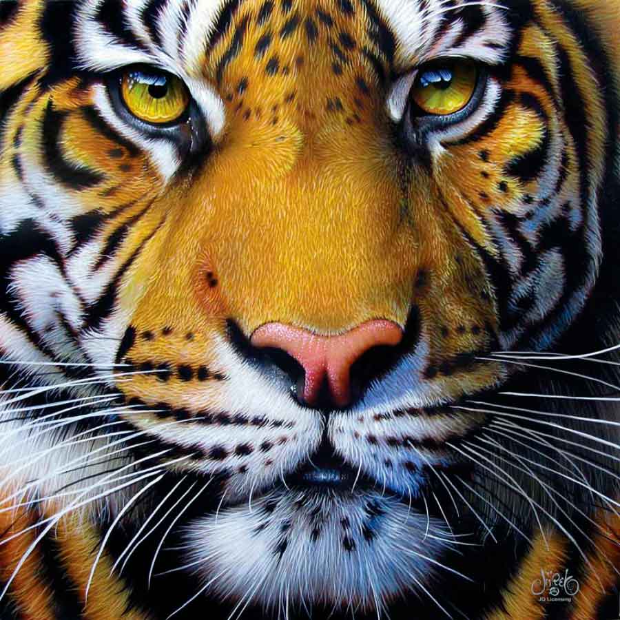 Puzzle SunsOut Cara de Tigre Dourado de 1000 Peças