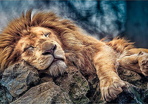 Puzzle Trefl Leão Adormecido 1000 Peças