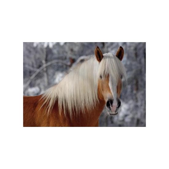 Cavalo Puzzle D-Toys I de 239 Peças Corte Especial