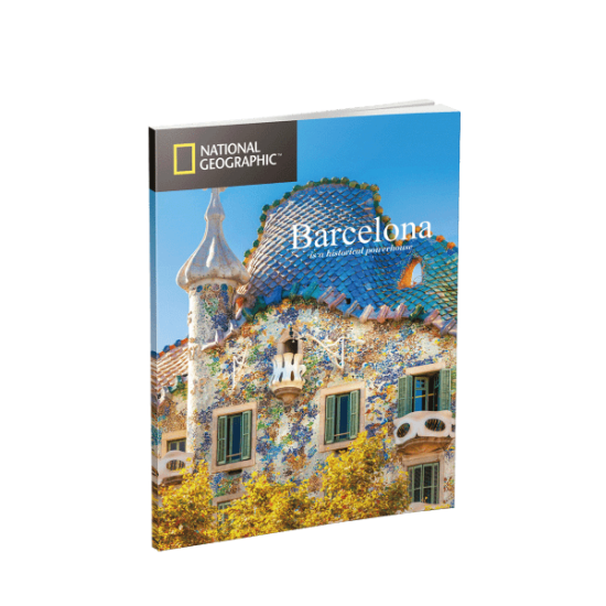 Puzzle 3D World Brands A Sagrada Família (National Geographic)