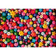 Puzzle Alipson Explosão De Pétalas de 1000 Peças