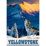 Puzzle Alipson Lobo de Yellowstone de 500 Peças