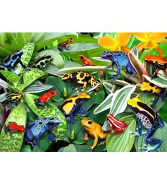 Puzzle Alipson Sapos Divertidos de 500 Peças