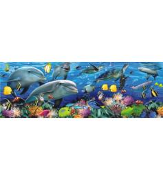 Puzzle Anatolian Fauna Submarina de 1000 peças