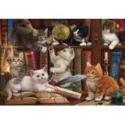 Puzzle Anatolian Gatinhos na Prateleira de 500 peças