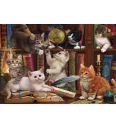 Puzzle Anatolian Gatinhos na Prateleira de 500 peças