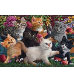 Puzzle Anatolian Gatinhos Jogando de 260 peças