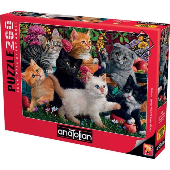 Puzzle Anatolian Gatinhos Jogando de 260 peças Puzzle Anatolian Gatinhos Jogando de 260 peças