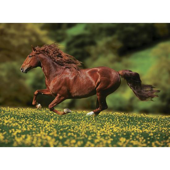 Puzzle Anatolian Liberty 1000 peças