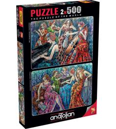 Notas de Puzzle Anatolian cheias de cores 2 x 500 peças