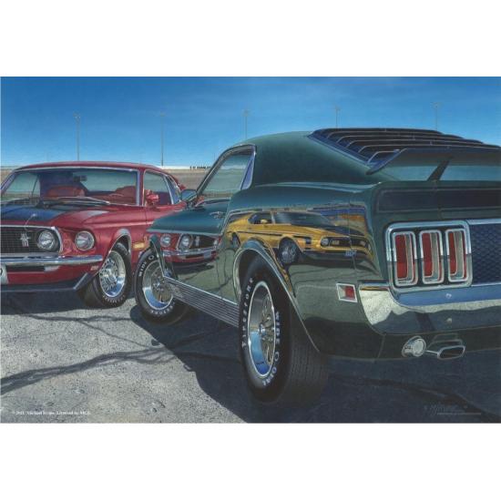 Puzzle Anatolian Velocidade Máxima 500 Peças