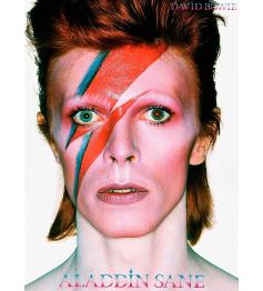 Puzzle Aquarius David Bowie Aladdin Sane de 500 Peças