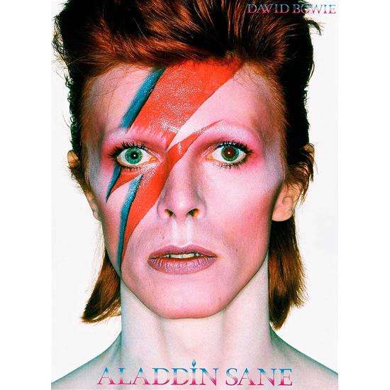 Puzzle Aquarius David Bowie Aladdin Sane de 500 Peças Puzzle Aquarius David Bowie Aladdin Sane de 500 Peças