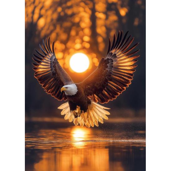 Puzzle Art Puzzle Asas do Sol 1000 Peças