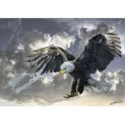 Puzzle Art Puzzle Preto e Branco, American Eagle 500 Peças