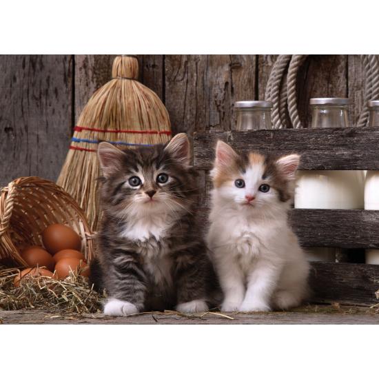 Puzzle arte Puzzle gatinhos impertinentes 500 peça