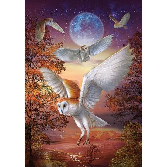 Puzzle Art Puzzle Corujas ao Luar de 1000 Pçs Puzzle Art Puzzle Corujas ao Luar de 1000 Pçs