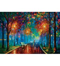 Puzzle Art Puzzle Só nós os Dois 1000 peças