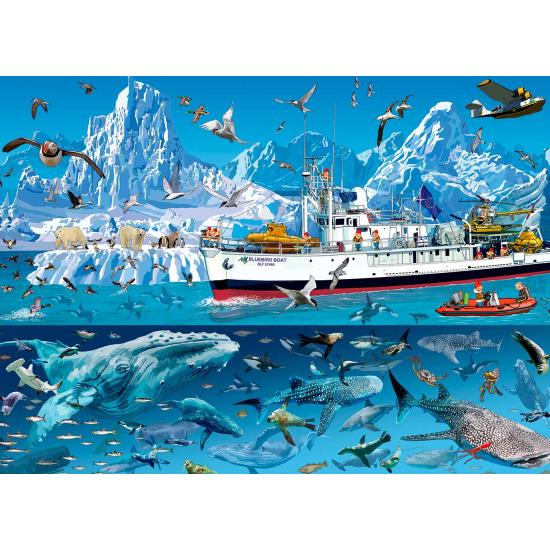 Puzzle Bluebird Barco no Ártico 1500 peças