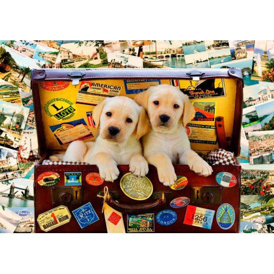 Puzzle Bluebird Cachorros Viajantes 1000 Peças