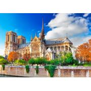 Puzzle Bluebird Catedral de Notre-Dame de Paris 1000 peça