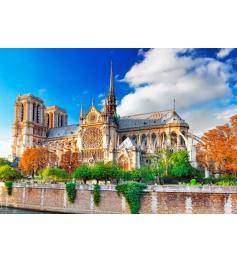 Puzzle Bluebird Catedral de Notre-Dame de Paris 2000 peça