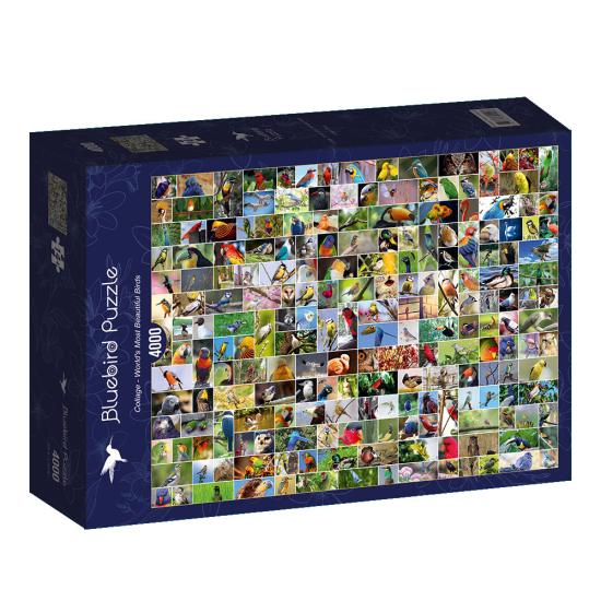 Puzzle Bluebird Colagem de Pássaros do Mundo 4000 peças